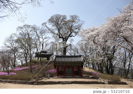 山城 韓国 忠南 53210710