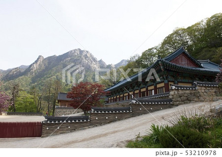 宗教 仏教 新興寺 53210978