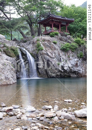 滝 自然 木 53211146