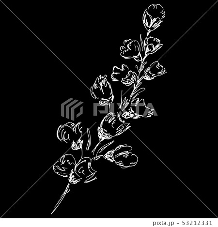 Abstract cotton branch outline icon isolated on 53212331