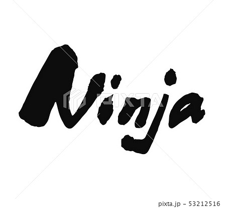 Ninja 53212516