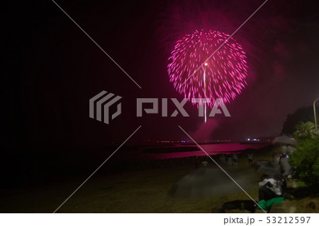 大分合同新聞納涼花火シリーズ 武蔵会場 53212597