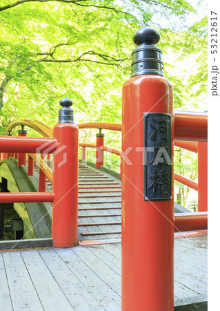 伊香保温泉 河鹿橋 新緑 伊香保温泉 河鹿橋 新緑 53212617