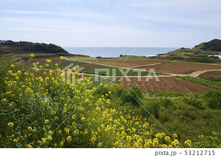 屏屏風ヶ浦の崖 53212715