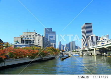 大阪中之島 青空と紅葉風景 大阪中之島 青空と紅葉風景 53213655