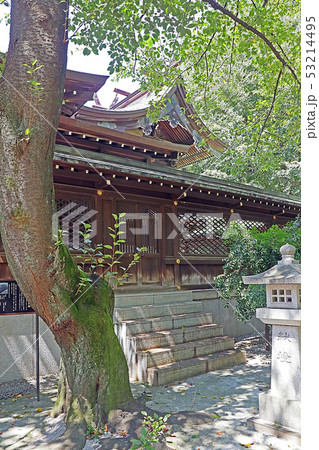 十二荘熊野神社 53214495
