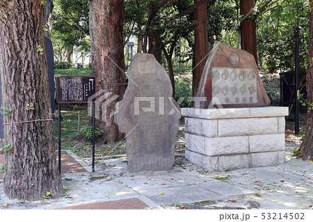 十二荘熊野神社 十二荘熊野神社 53214502