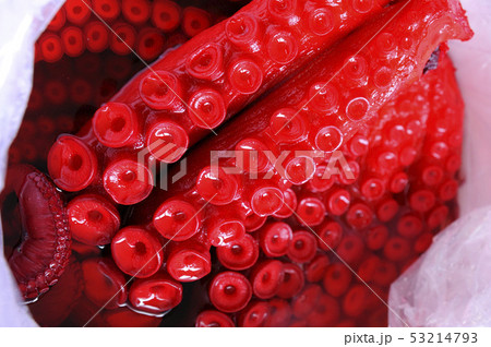 酢だこ 酢だこ 53214793