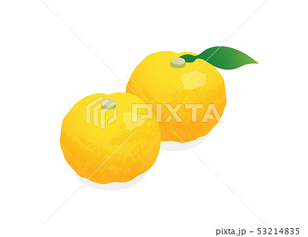 柚子 53214835