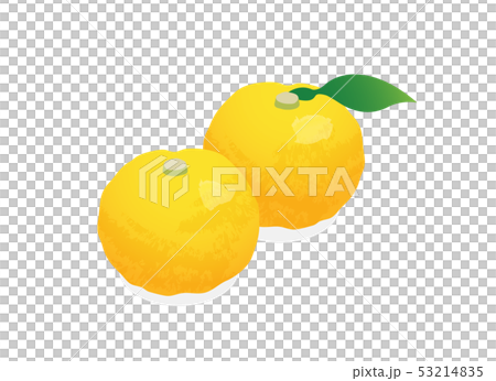 柚子 53214835
