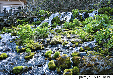 北海道 京極ふきだし公園 53214849