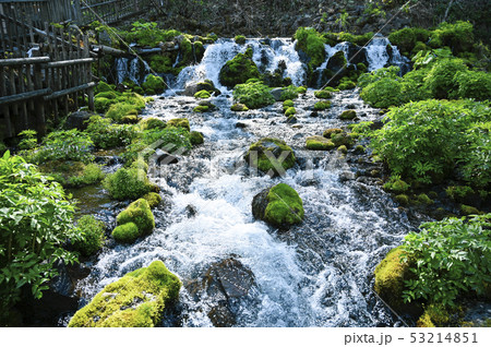 北海道 京極ふきだし公園 53214851