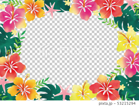 Hibiscus fence 53215294