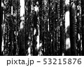 木 光 反射 53215876