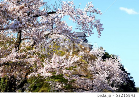 犬山城 犬山城 53215943