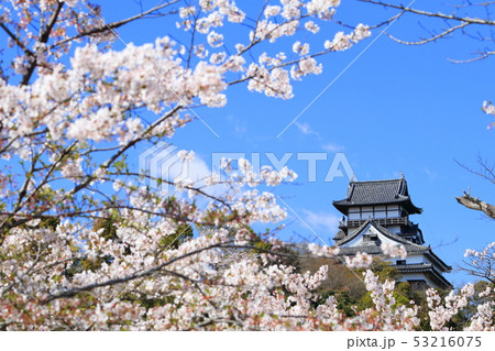 犬山城 53216075