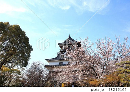 犬山城 犬山城 53216165