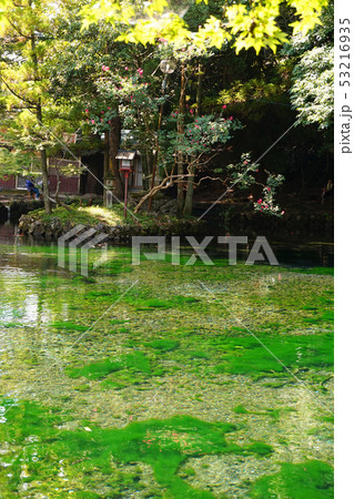 出流原弁天池　磯山弁財天　磯山公園　湧釜神社　名水　佐野七福神　鯉 53216935