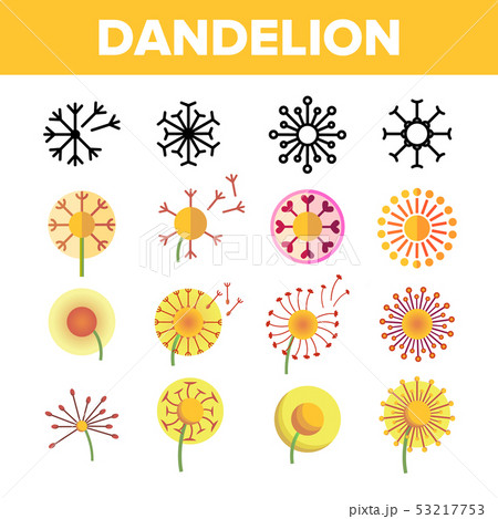Dandelion, Spring Flower Vector Thin Line Icons Set 53217753