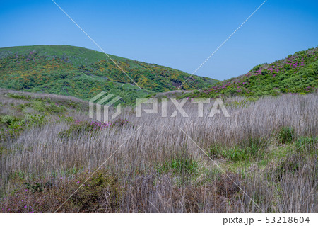 阿蘇 阿蘇 53218604