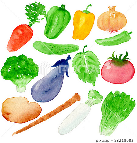 野菜１ 手描き水彩画のイラスト素材