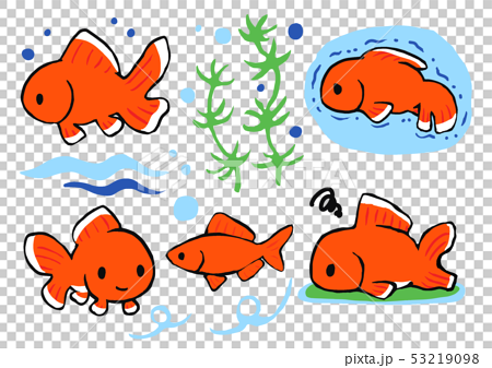 Set Illustrations Of Various Goldfish Stock Illustration