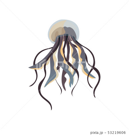 Blue translucent jellyfish closeup. Vector illustration on white background. 53219606