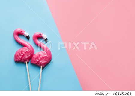 Two flamingo candy lollipop on blue and pink.  53220933