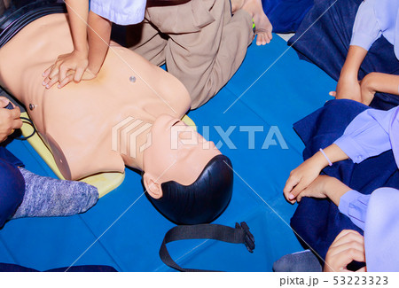 hand student Heart pump with medical dummy on CPR hand student Heart pump with medical dummy on CPR 53223323