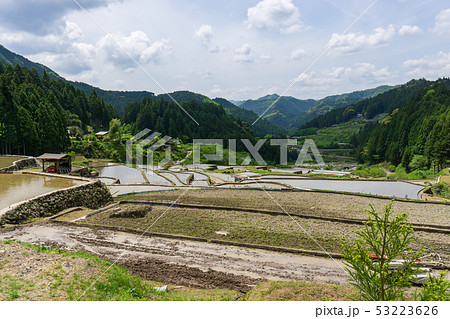 四谷千枚田（愛知県） 53223626