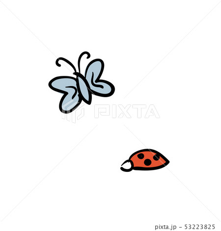 blue butterfly. natural insect. isolated on white 53223825