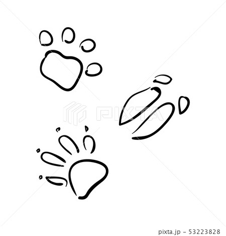 Vector set of animal tracks. sketch style. wolf, 53223828