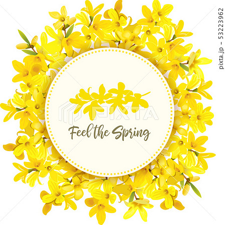 Feel the spring. Forsythia suspensa frame. Card Feel the spring. Forsythia suspensa frame. Card 53223962