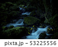 渓流とホタル 53225556