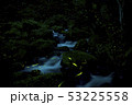 渓流とホタル 53225558