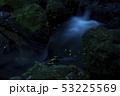 渓流とホタル 53225569