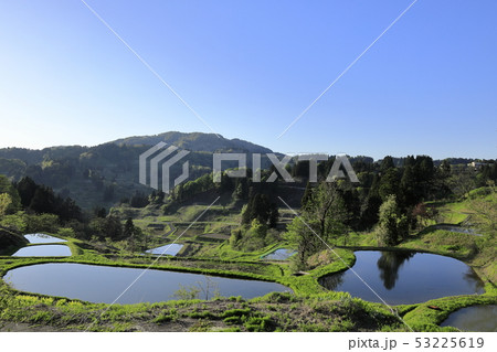 長岡 山古志の棚田 53225619