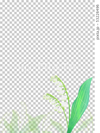 背景素材_スズラン 53226496