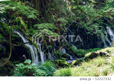 元滝伏流水 53227332