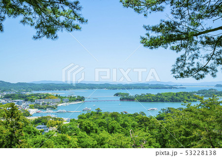 日本三景松島　松島　西行戻しの松 53228138