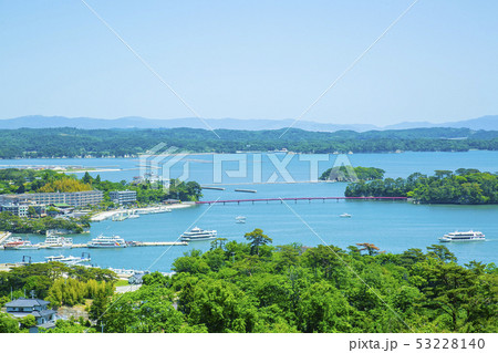 日本三景松島　松島　西行戻しの松 53228140