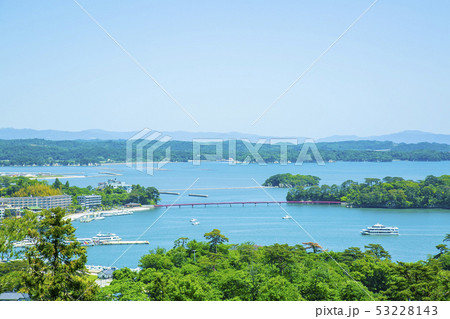 日本三景松島　松島　西行戻しの松 53228143