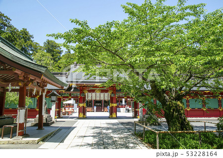 鹽竈神社　塩釜市　しおがまさま 53228164