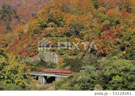 紅葉の只見線 53228361