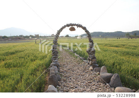 造形物 作品 木 53228998