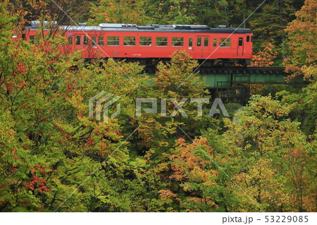 紅葉の只見線 紅葉の只見線 53229085