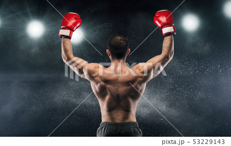 Boxer champion enjoying his victory on lights 53229143