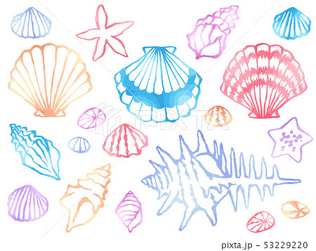 ホタテ 巻貝 ヒトデの水彩風線画イラストセットのイラスト素材