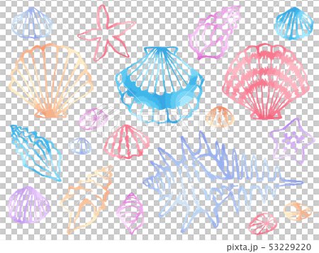 水彩風格線條藝術插圖套扇貝，蝸牛和海星 53229220