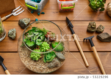 Set for home gardening concept Set for home gardening concept 53229296